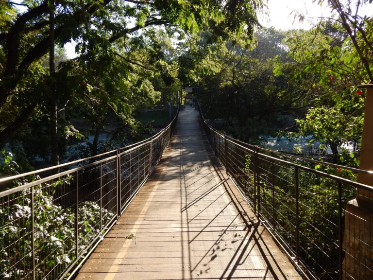 ponte ilha sao pedro