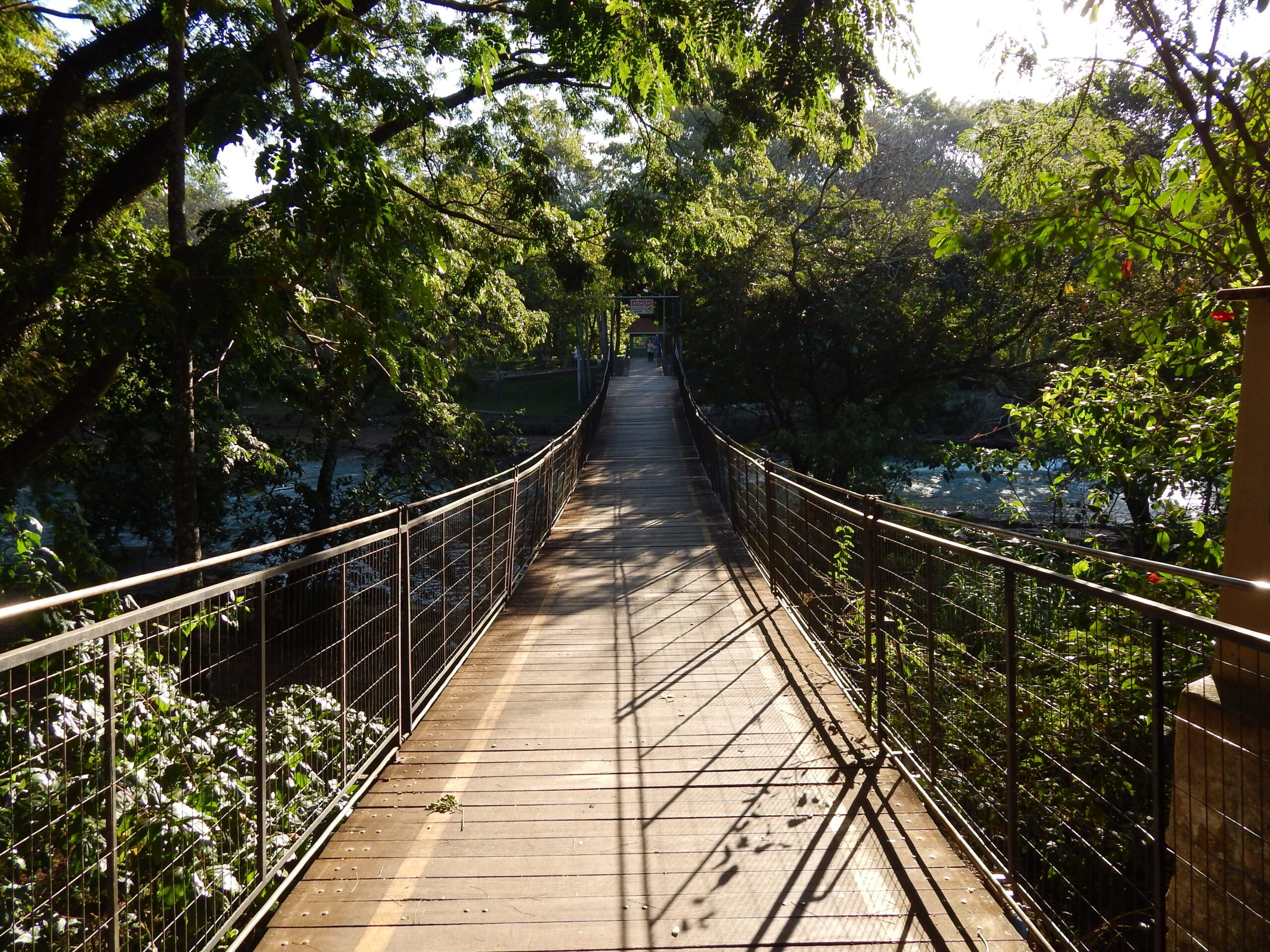 ponte ilha sao pedro